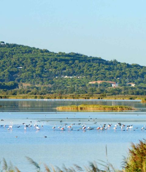 météo Cap d’Agde climat Cap d’Agde été indien