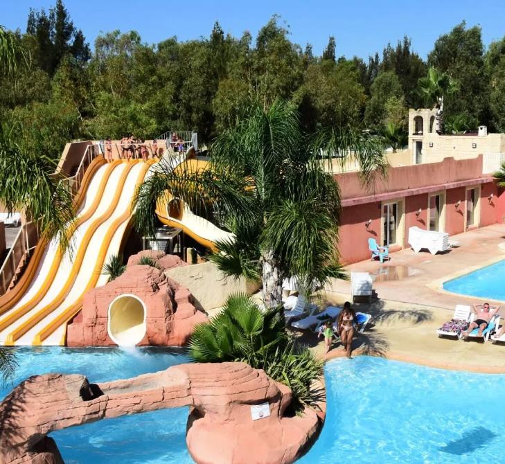 info-Camping Les Palmiers – Hyères
